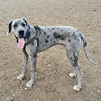 Photo of Ajax