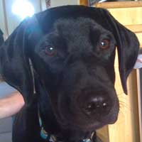 Oscar 3